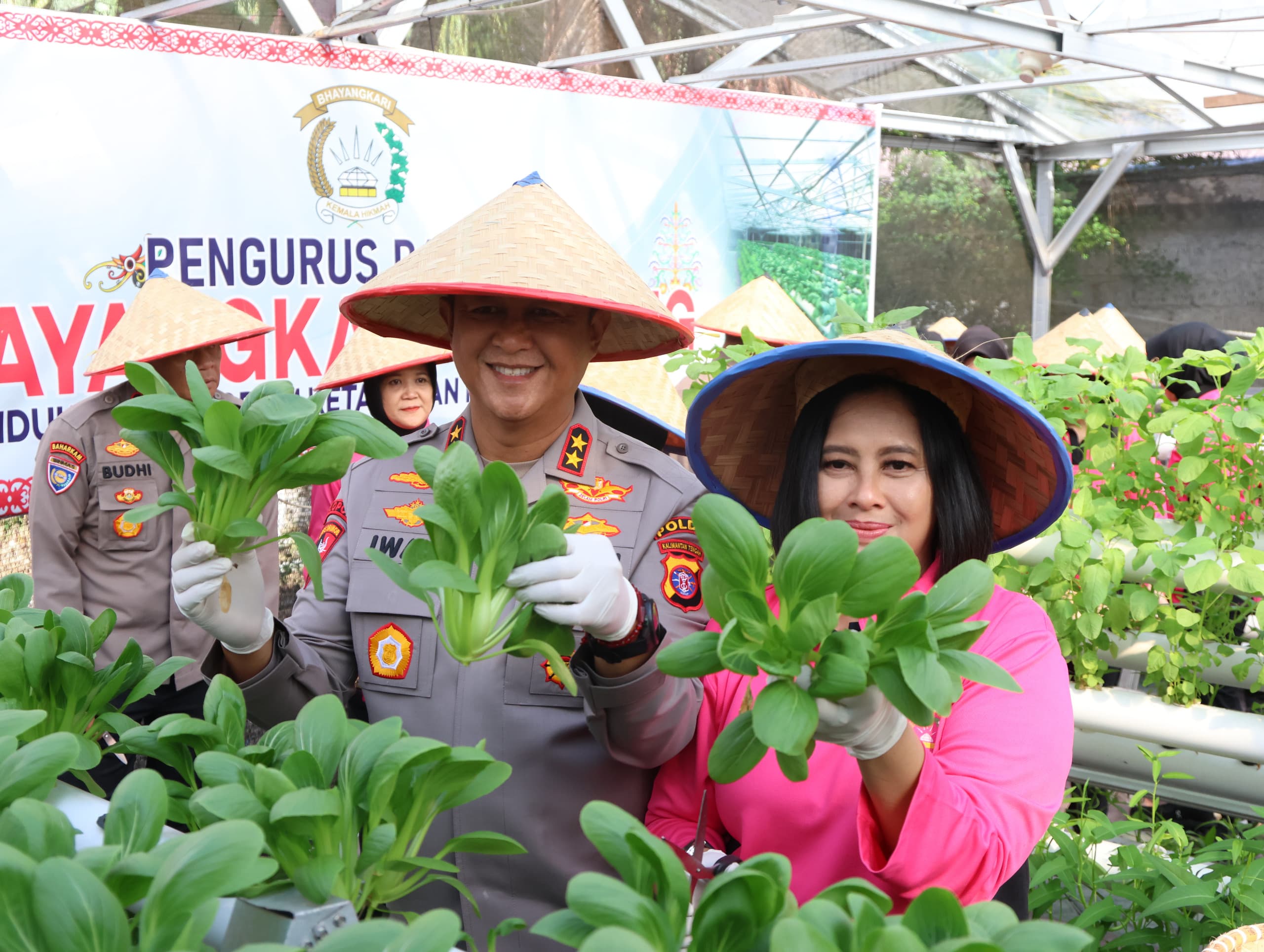 Panen Sayur di Tengah Kota, Wujud Nyata Menanam Harapan Ketahanan Pangan