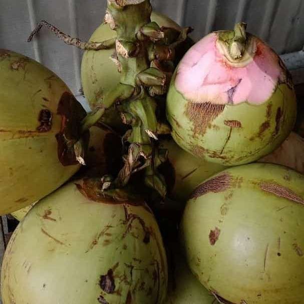 Ini Makanan dan Minuman yang Bisa Redakan Keracunan