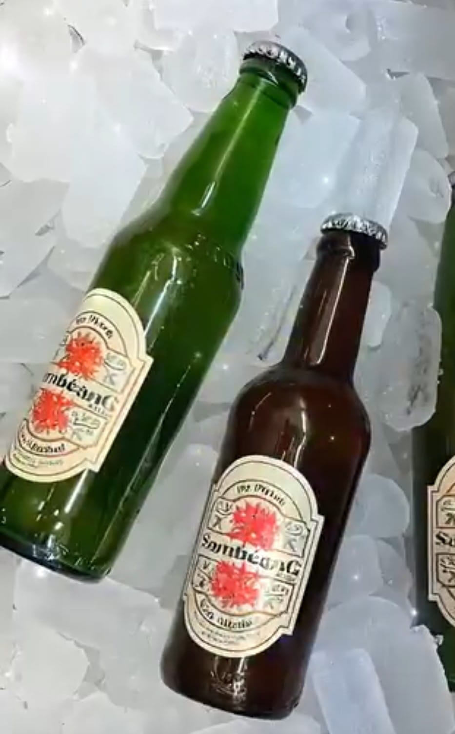 Bir Pletok, Minuman Hangat Khas Betawi