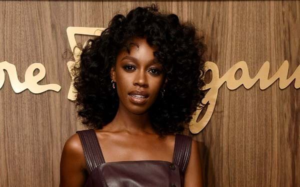 Pemain Serial John Wick, Lou Ahli Bela Diri yang Cerdas