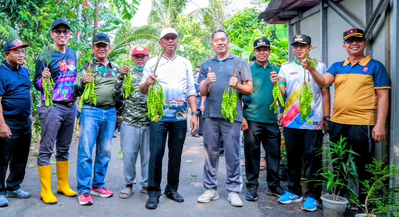 Optimalkan Lahan Produktif, Warga Cipinang Melayu Panen Singkong dan Petai