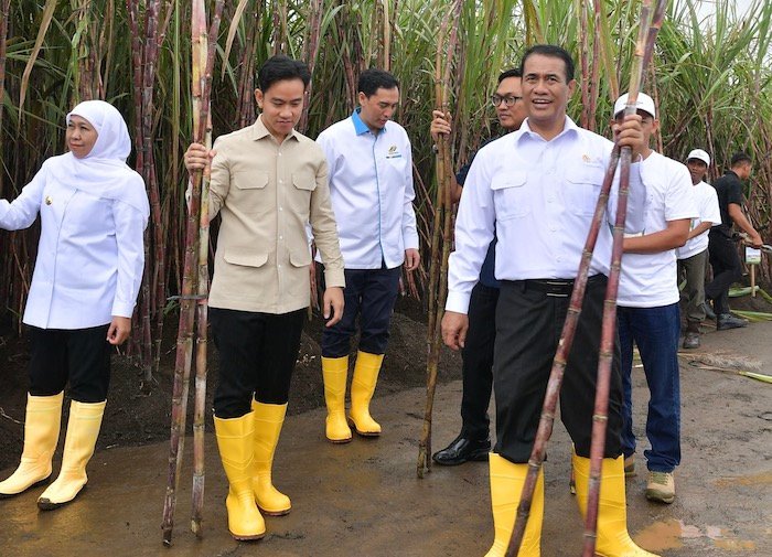Wapres Gibran Rakabuming Raka Tinjau Panen Raya Tebu dan Program Swasembada Gula