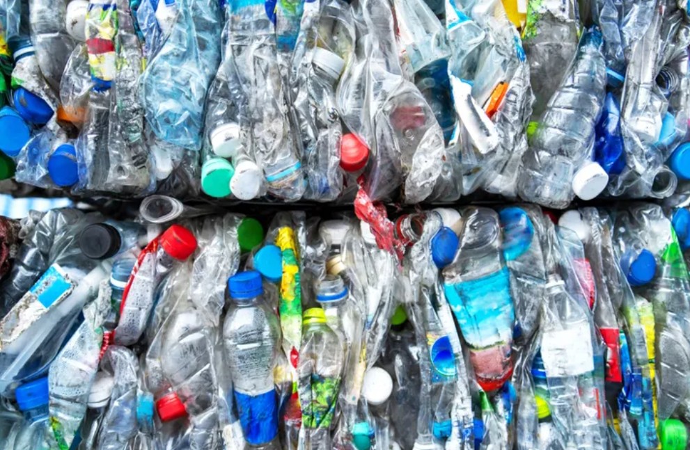 Sulap Sampah Plastik Jadi Biskuit Protein Tinggi, Mau Coba?