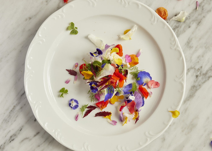 Kisah Perjalanan Kuliner Chef Will Goldfarb dan Chef Syrco Bakker di Bali