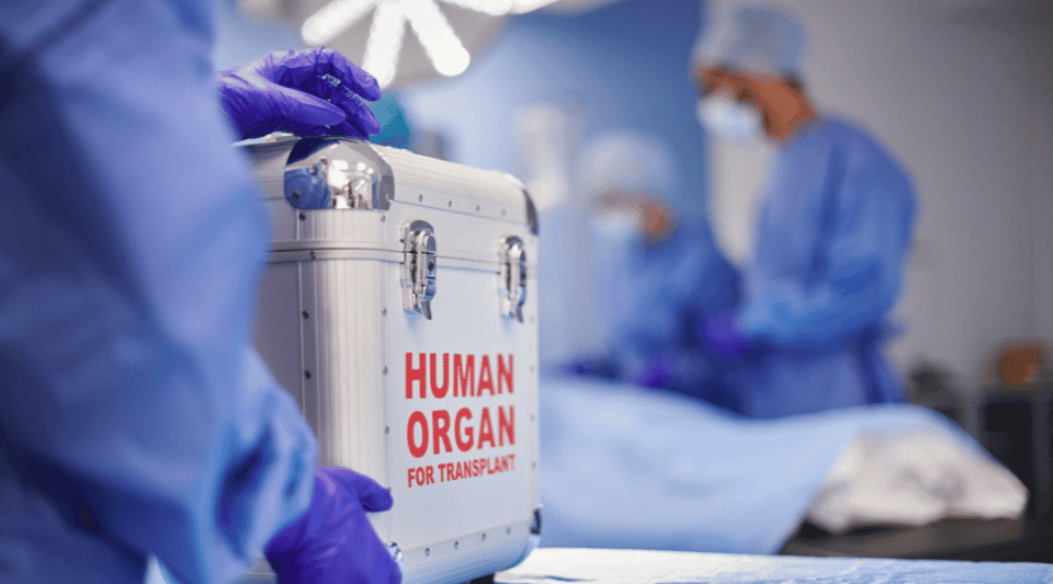 Transplantasi Organ, Tantangan Etika, dan Asa Masa Depan