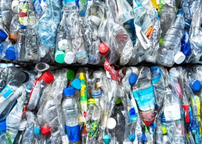 Sulap Sampah Plastik Jadi Biskuit Protein Tinggi, Mau Coba?