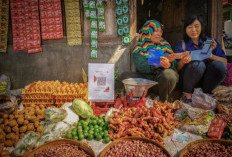 Skema Holding UMKM Perkuat Konektivitas UMKM dengan Industri Besar
