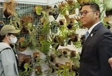 Begini Pesan Penting Wakil Menteri Pertanian untuk Esha Plant