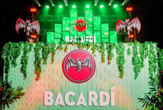 Masuk Kalangan Anak Muda, Bacardi Spiced Twin Pack Sajikan Minuman Going Coco