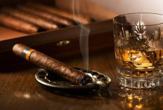 Daftar Scotch Whisky Terbaik 2026 Versi Beverage Testing Institute