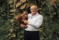 Low Tuck Kwong, Raja Batu Bara, dan Penjaga Kelestarian Hutan 
