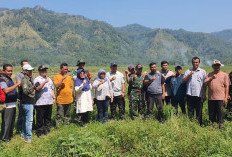 Kementerian Pertanian (Kementan) Lakukan Percepatan Tanam di Desa Kertamukti Kabupaten Sukabumi Jawa Barat