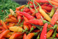 Daftar Harga Komoditas 1 November 2025, Cabai Rawit Merah Rp 40.650 Per Kg 
