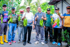 Optimalkan Lahan Produktif, Warga Cipinang Melayu Panen Singkong dan Petai