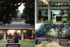 Main ke Bandung? Ini Rekomendasi Cafe Nyaman untuk WFC