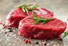 Begini Penyebab Kualitas Gizi Daging Sapi Lokal dan Impor Bisa Berbeda