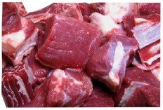 Bagaimana Tips Menyimpan Daging yang Benar? Simak Tips Chef King Abdi 