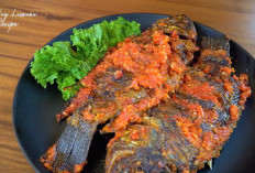 Resep Ikan Bakar Pedas a la Chef Roy Lesmana Ini Dijamin Bikin Ketagihan