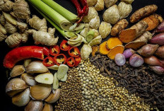 Kepala BPOM Ungkap Potensi Rempah dan Kuliner Indonesia di Pasar Dunia