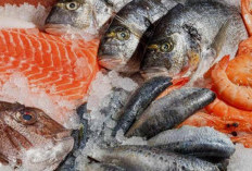 Ini Alasan Munjirin Ajak 561 Siswa SD di Cipinang Besar Utara untuk Konsumsi Ikan